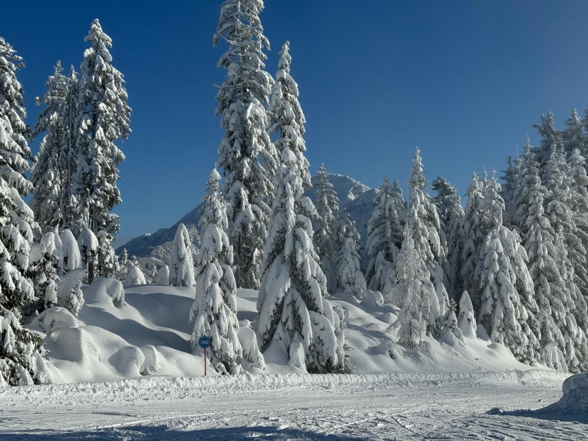 Appartement Erler Sankt Johann in Tirol Exteriér fotografie