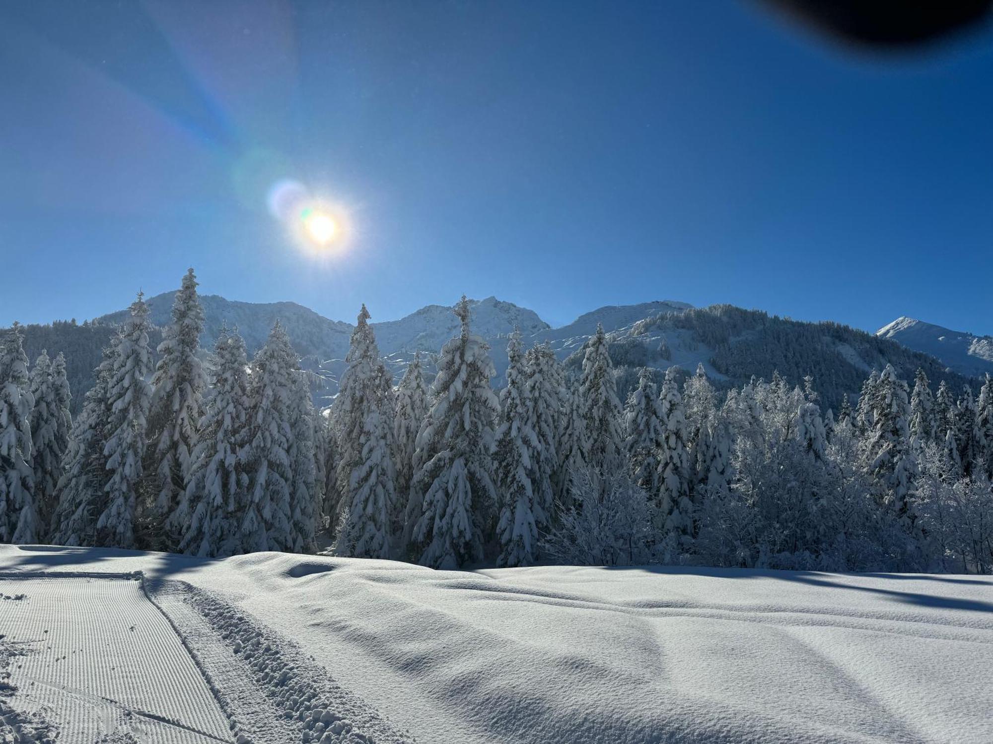 Appartement Erler Sankt Johann in Tirol Exteriér fotografie
